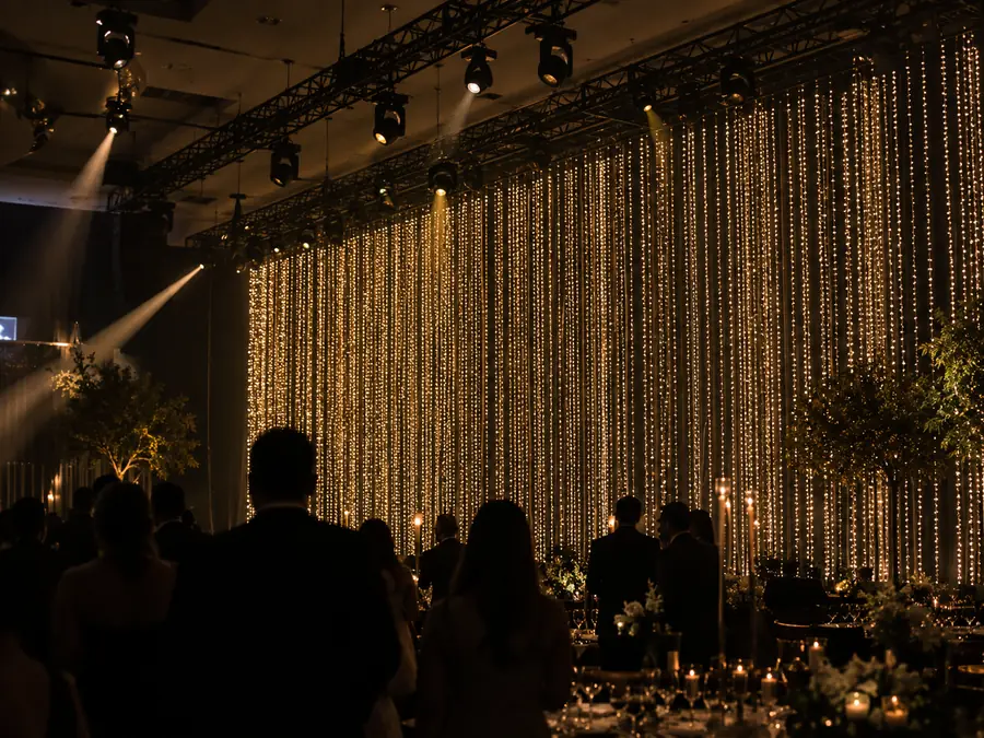 Detalle de cortina de luz LED con hilos verticales